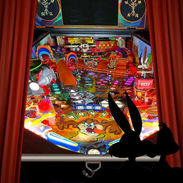 *READY TO SHIP* Looney Tunes Collector's Edition Initial Payment ($2000) - Image 3